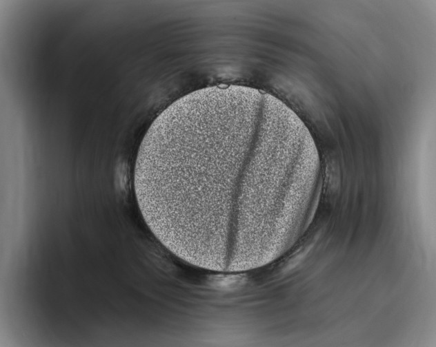 X0000096130135200802151321