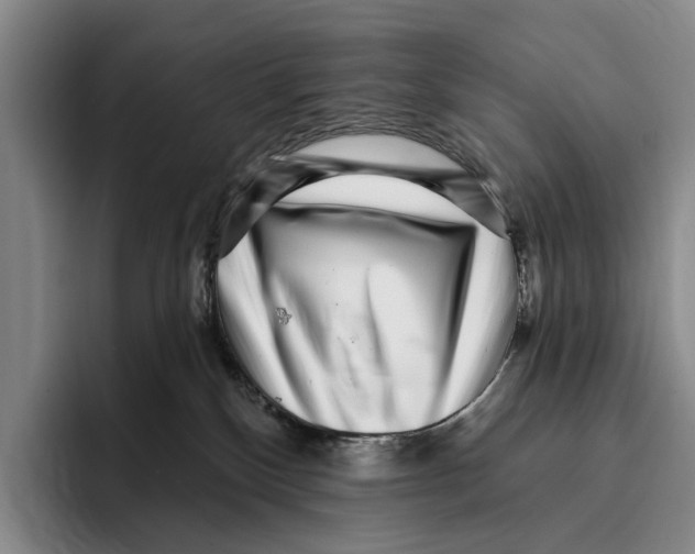 X0000096130136200802151321