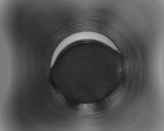 X0000096130137200802151321