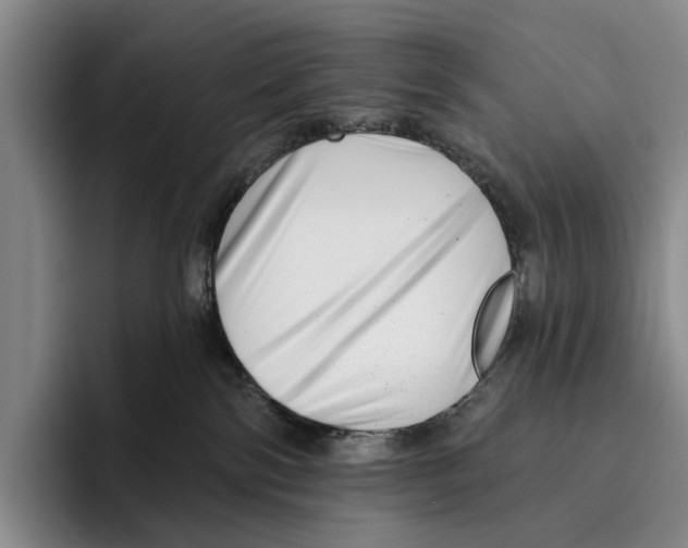 X0000096130138200802151321