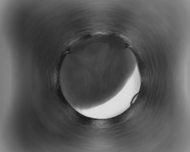 X0000096130139200802151321
