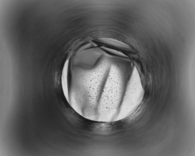 X0000096130140200802151321