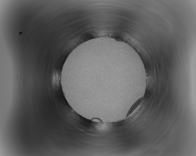X0000096130142200802151321