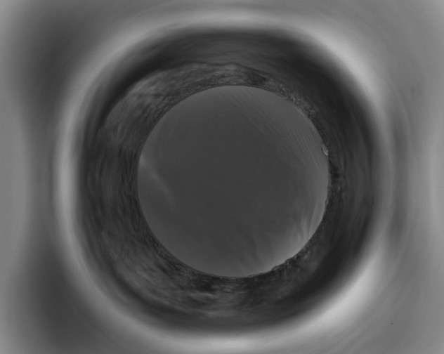 X0000096130143200802151321