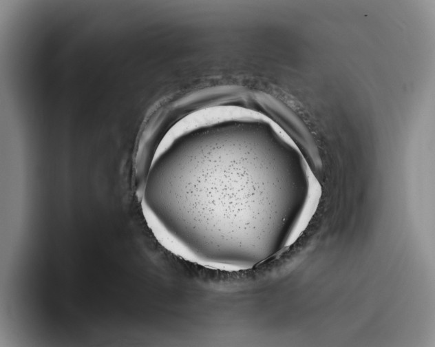 X0000096130144200802151321