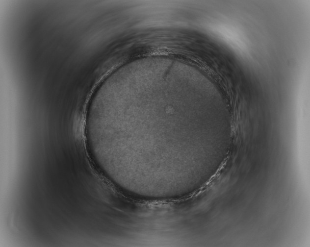 X0000096130146200802151321