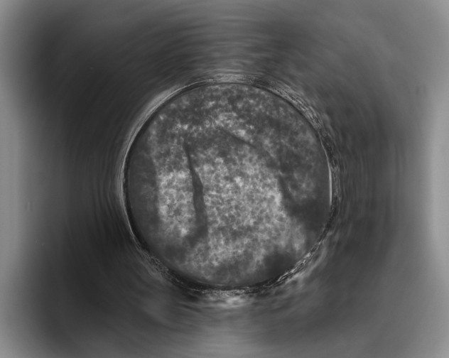 X0000096130147200802151321