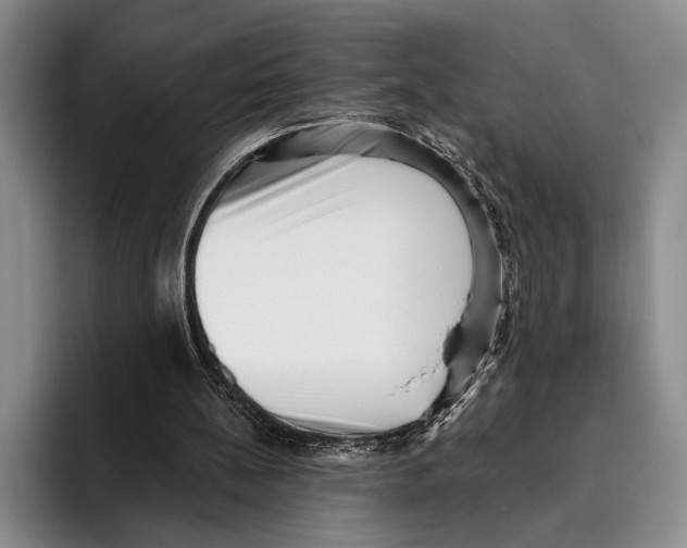 X0000096130148200802151321