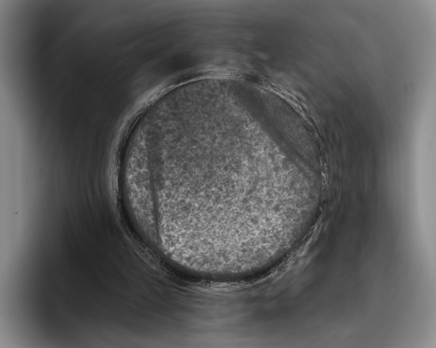X0000096130149200802151321