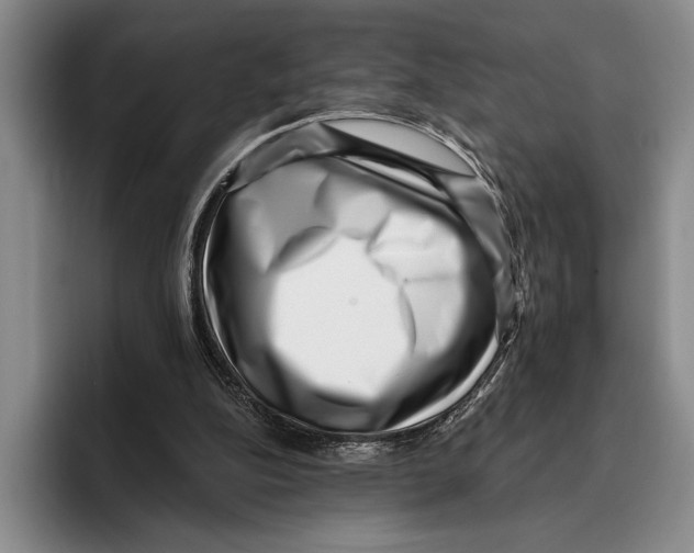 X0000096130152200802151321