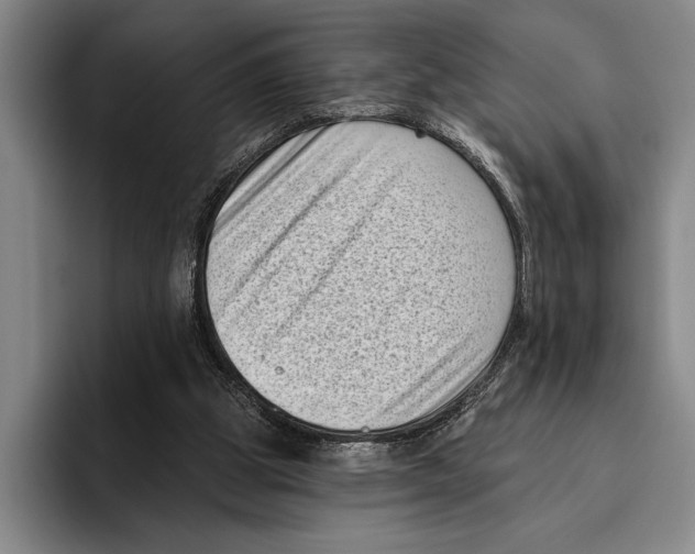 X0000096130153200802151321
