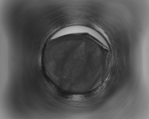 X0000096130154200802151321