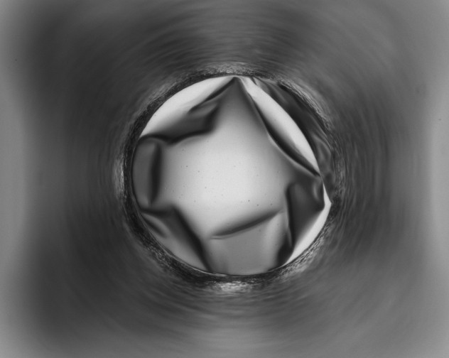 X0000096130158200802151321