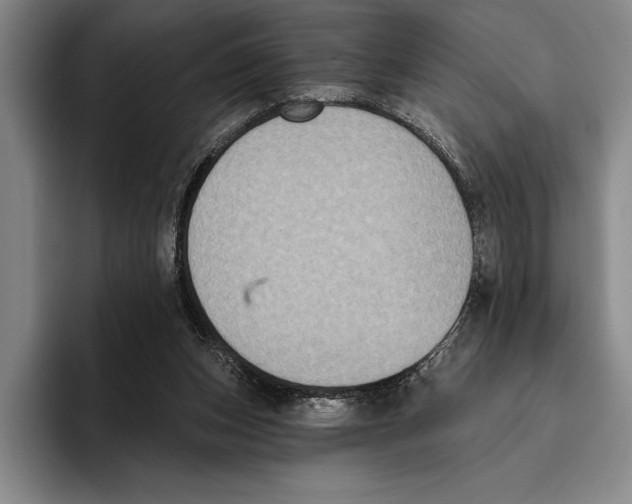 X0000096130159200802151321