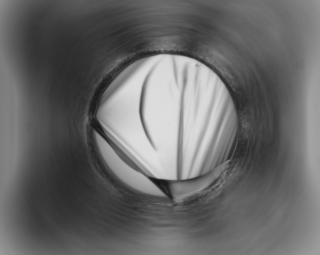 X0000096130160200802151321
