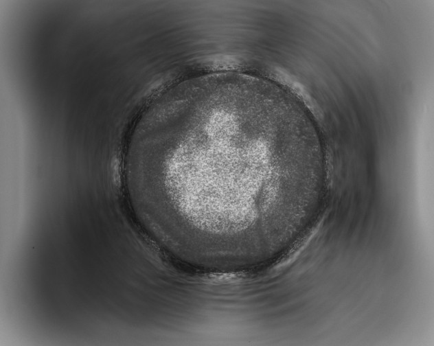 X0000096130161200802151321