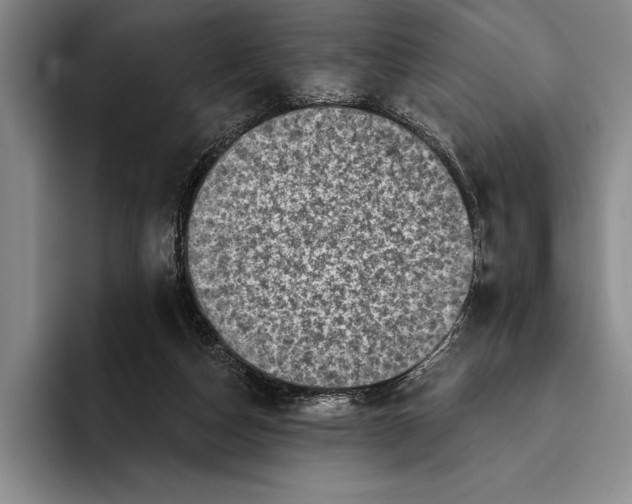 X0000096130162200802151321