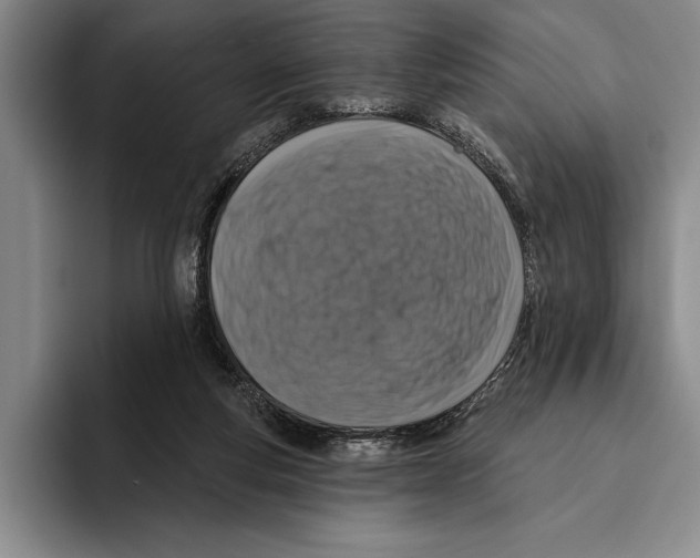 X0000096130163200802151321