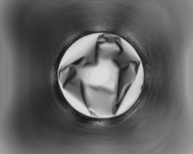 X0000096130164200802151321