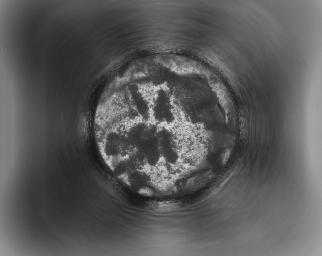 X0000096130165200802151321
