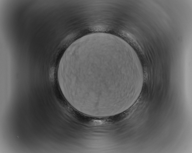 X0000096130167200802151321