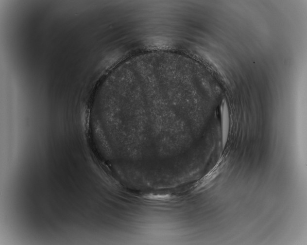 X0000096130168200802151321