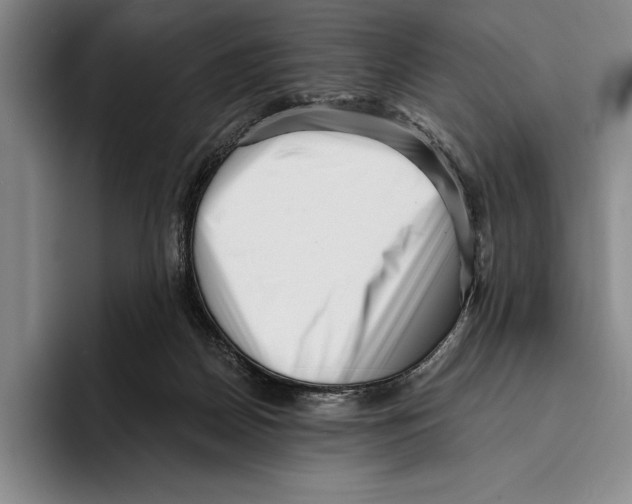 X0000096130170200802151321