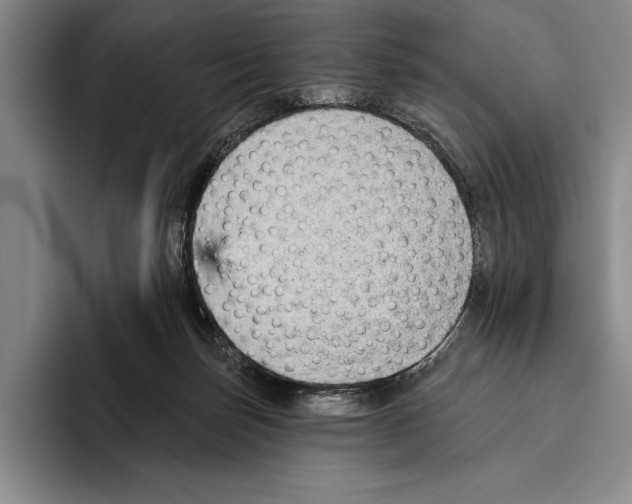 X0000096130171200802151321