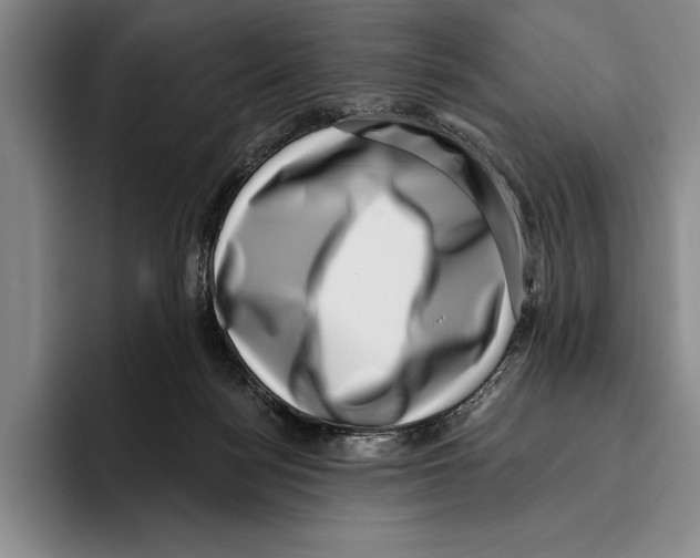 X0000096130172200802151321