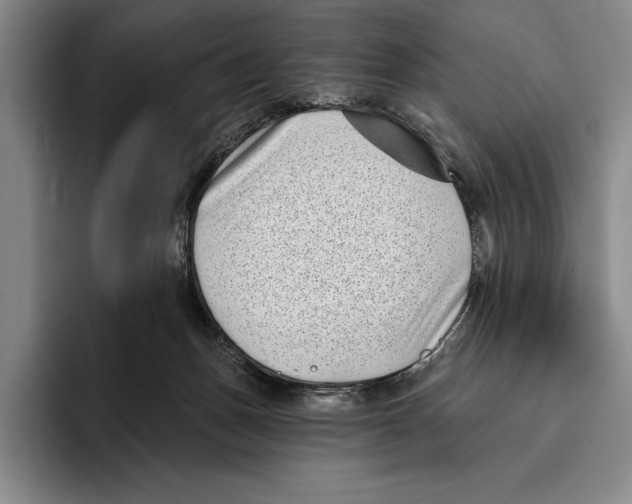 X0000096130175200802151321