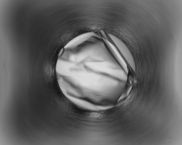 X0000096130176200802151321