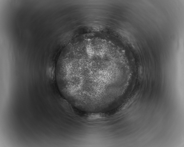 X0000096130177200802151321