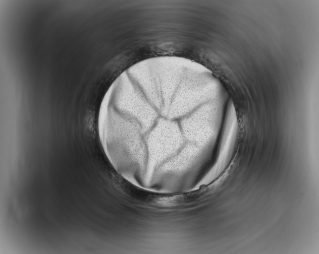 X0000096130178200802151321