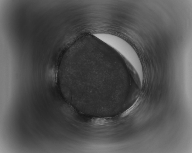X0000096130180200802151321
