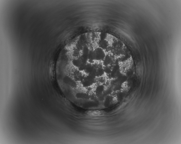 X0000096130181200802151321