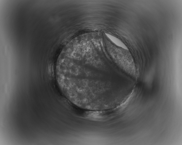 X0000096130182200802151321