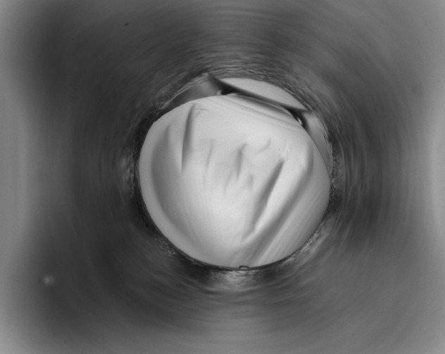 X0000096130184200802151321