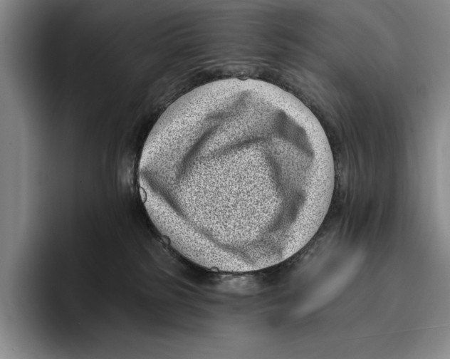 X0000096130185200802151321