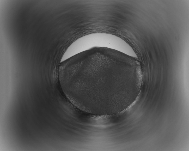 X0000096130186200802151321