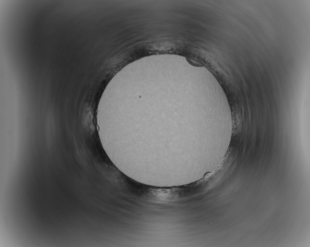 X0000096130187200802151321