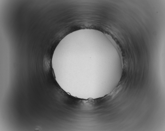 X0000096130188200802151321