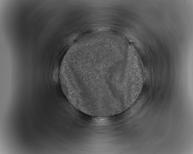 X0000096130189200802151321