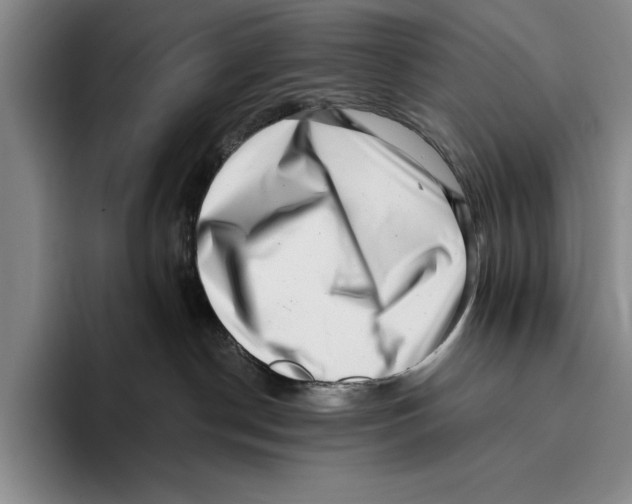 X0000096130190200802151321