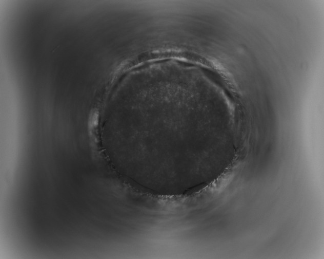 X0000096130192200802151321