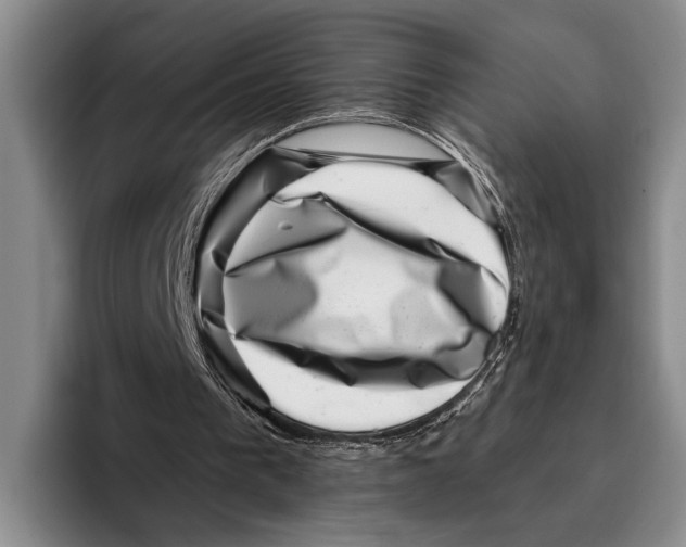 X0000096130193200802151321