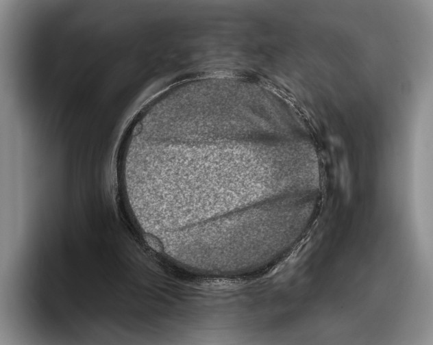 X0000096130198200802151321