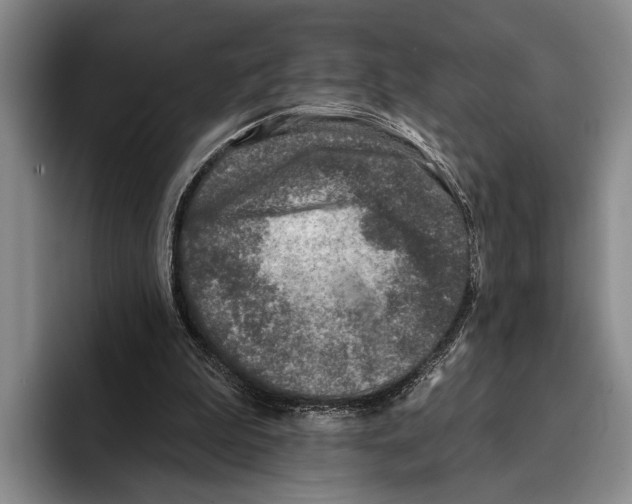 X0000096130199200802151321