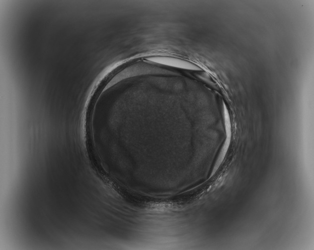 X0000096130200200802151321