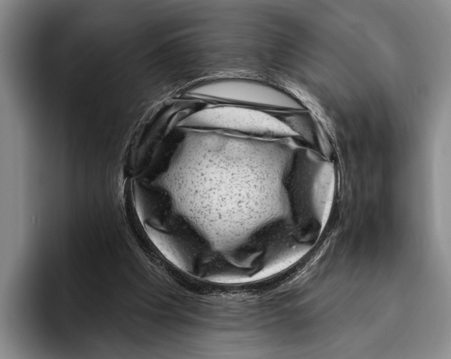 X0000096130201200802151321