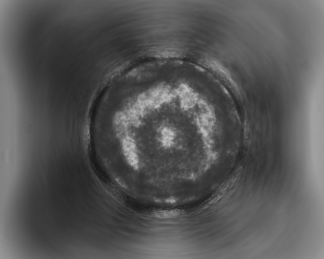 X0000096130202200802151321